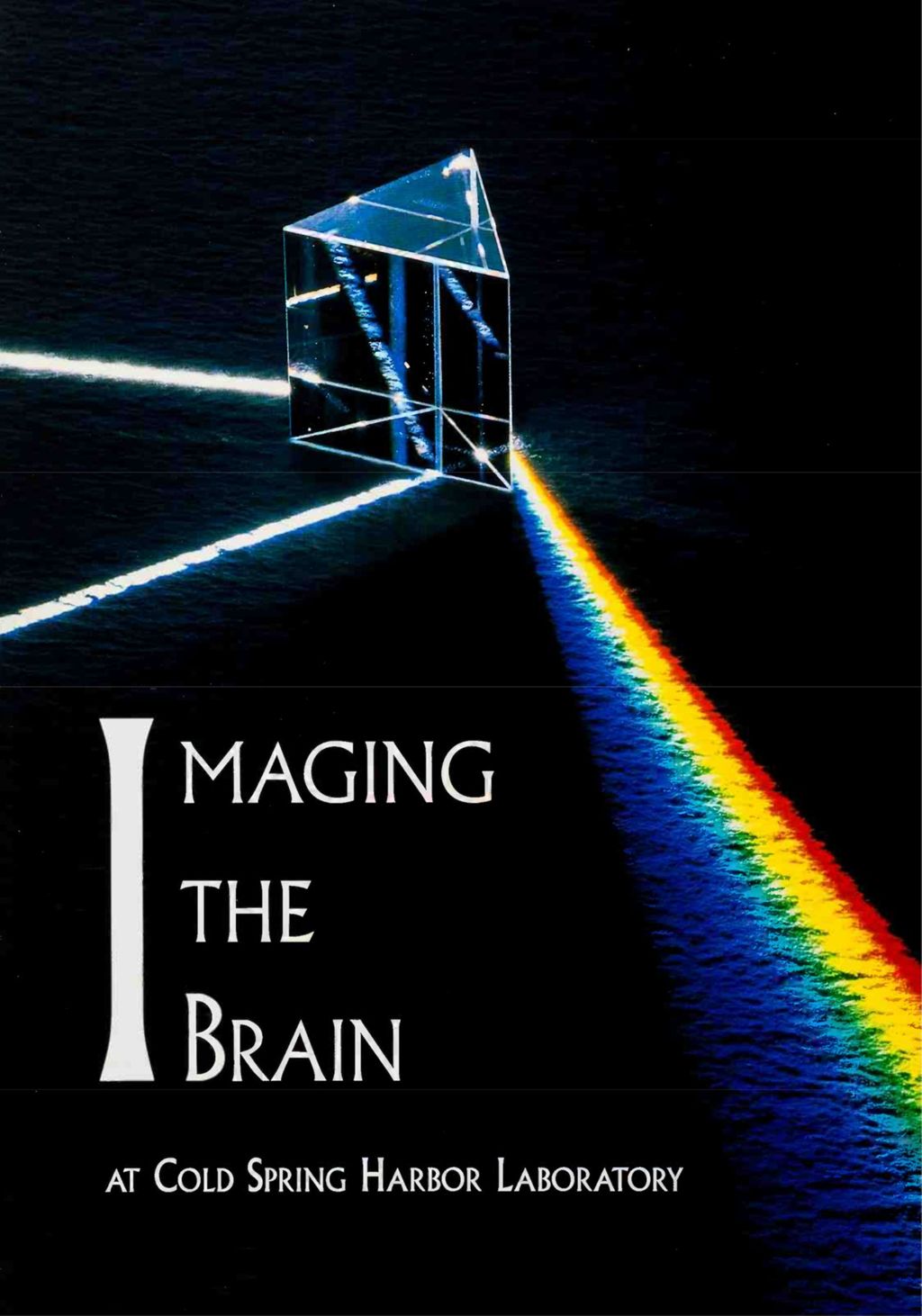 Miniature of BROCH_IMAGING_BRAIN
