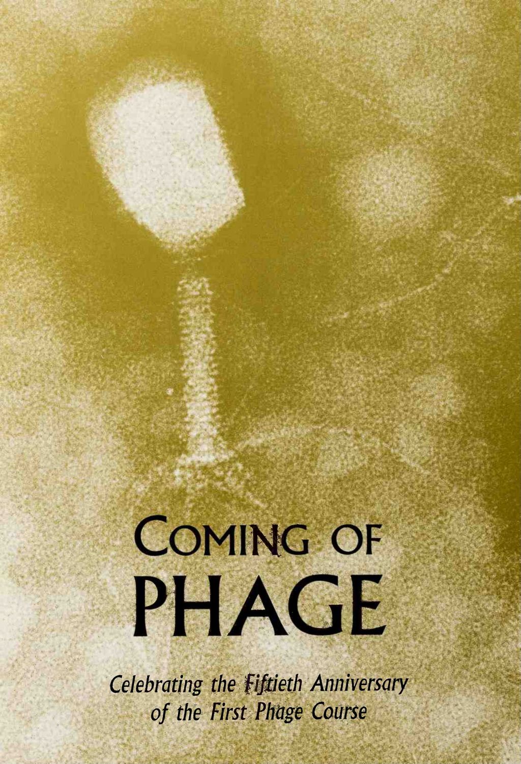 Miniature of BROCH_PHAGE_95