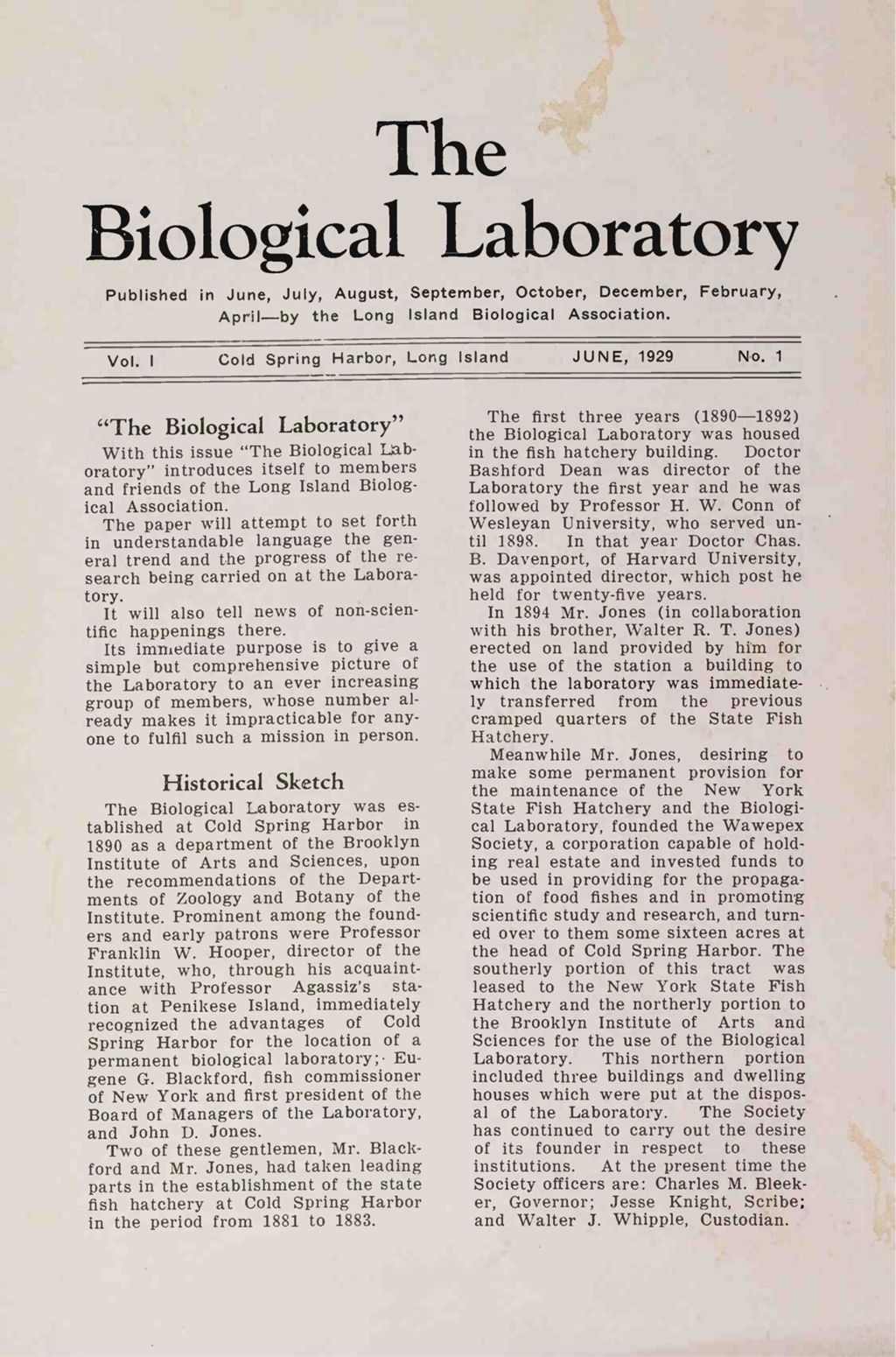 Miniature of TBL_newsletter_V1_1