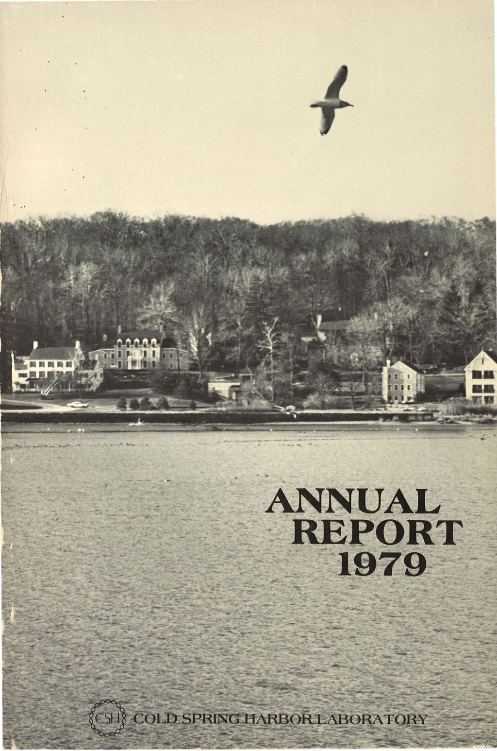 Miniature of Banbury_Annual_Report_1979