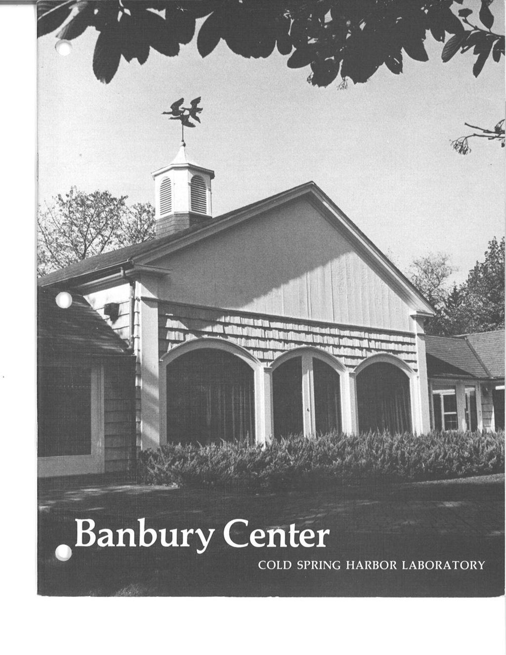 Miniature of Banbury_Annual_Report_1986