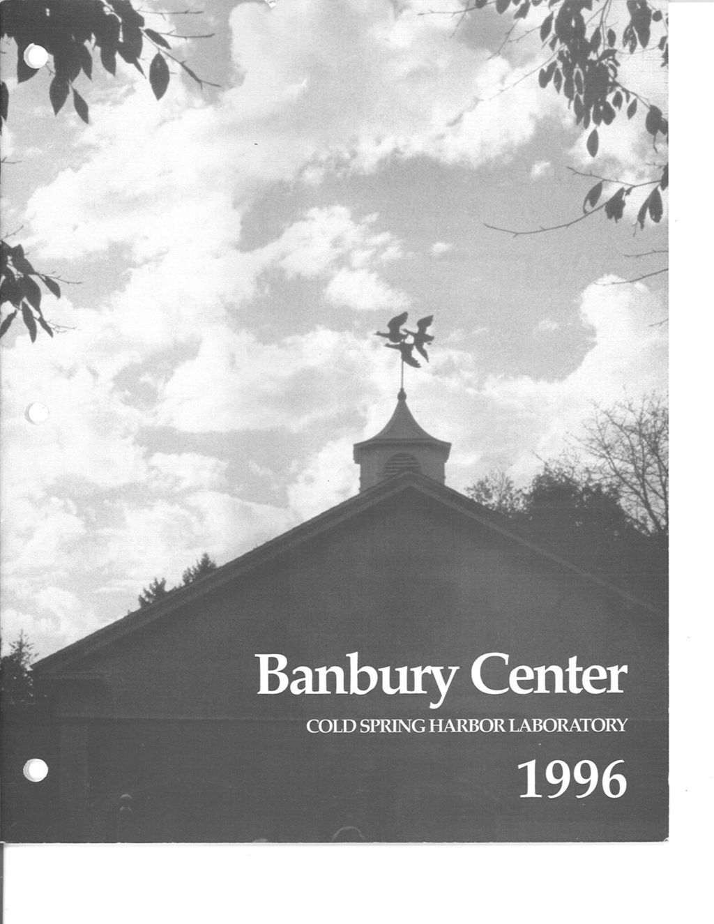 Miniature of Banbury_Annual_Report_1996