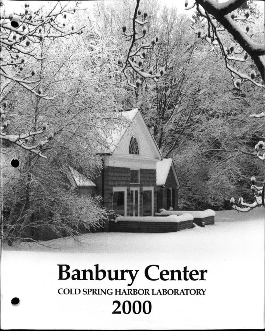 Miniature of Banbury_Annual_Report_2000
