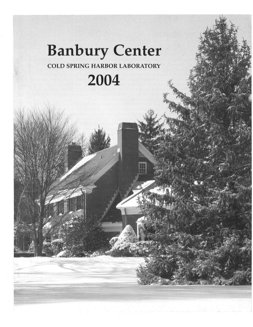 Miniature of Banbury_Annual_Report_2004