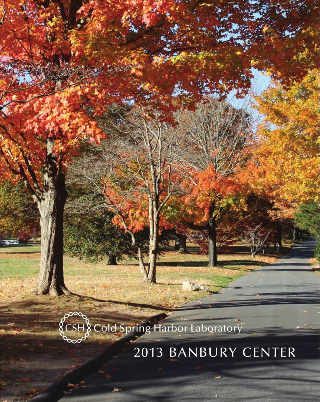 Miniature of Banbury_Annual_Report_2013_small