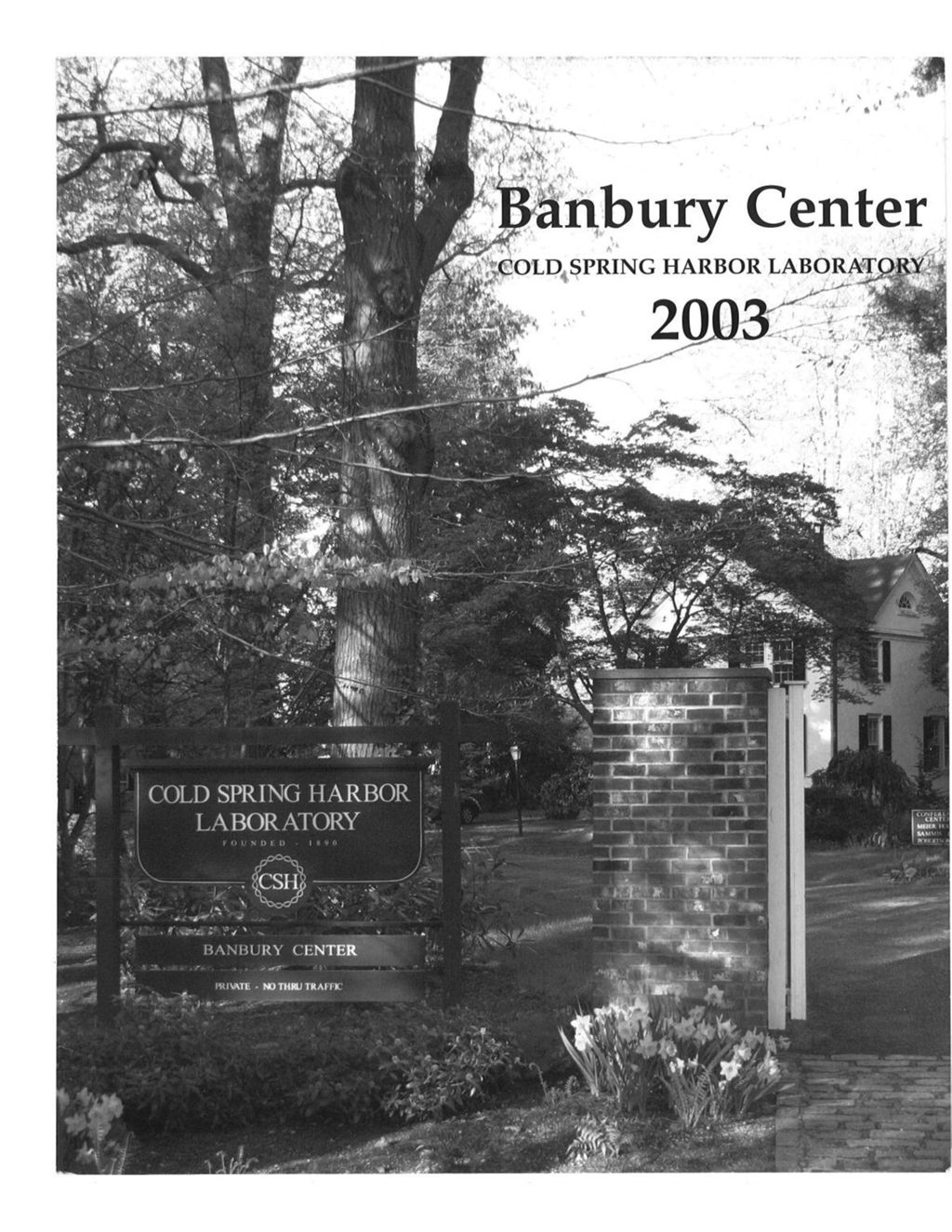 Miniature of Banbury_Annual_Report_2003