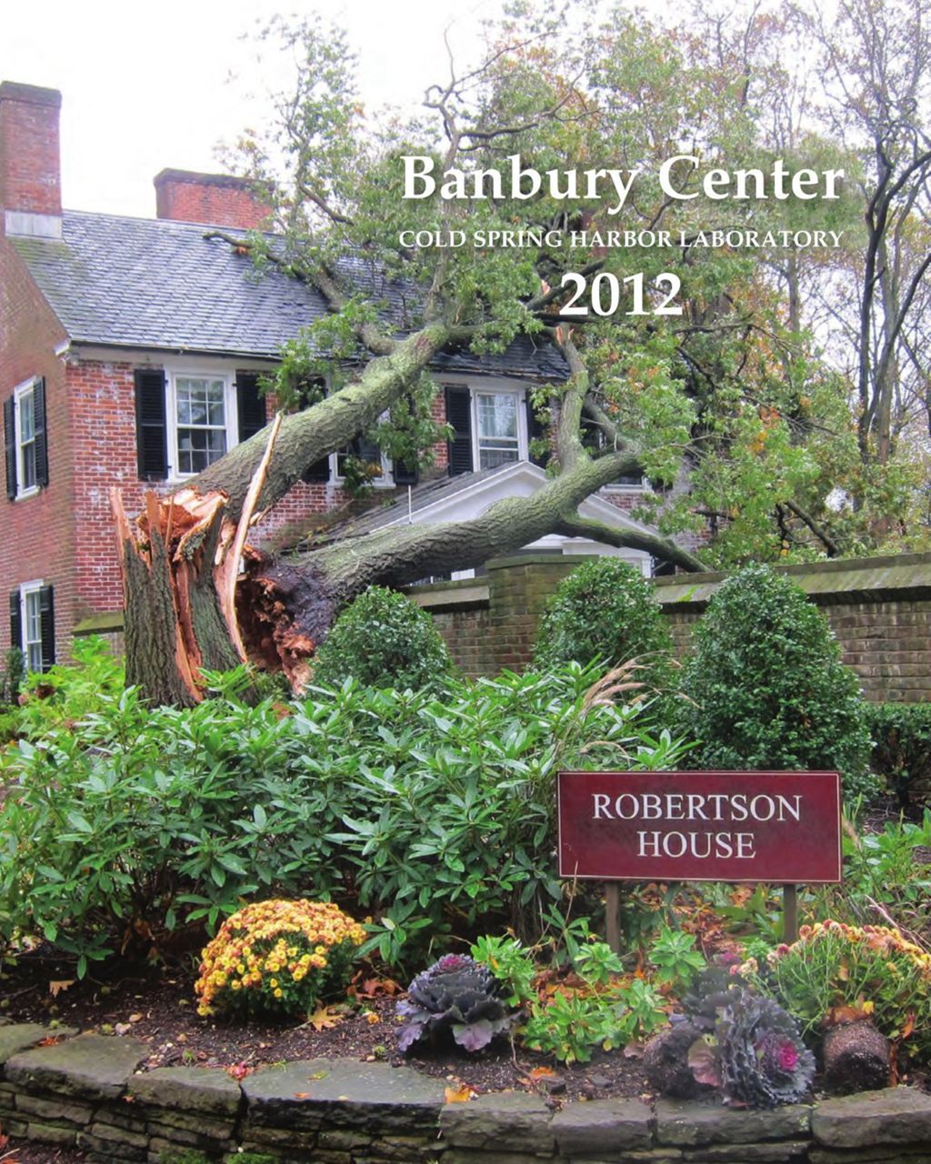 Miniature of Banbury_Annual_Report_2012