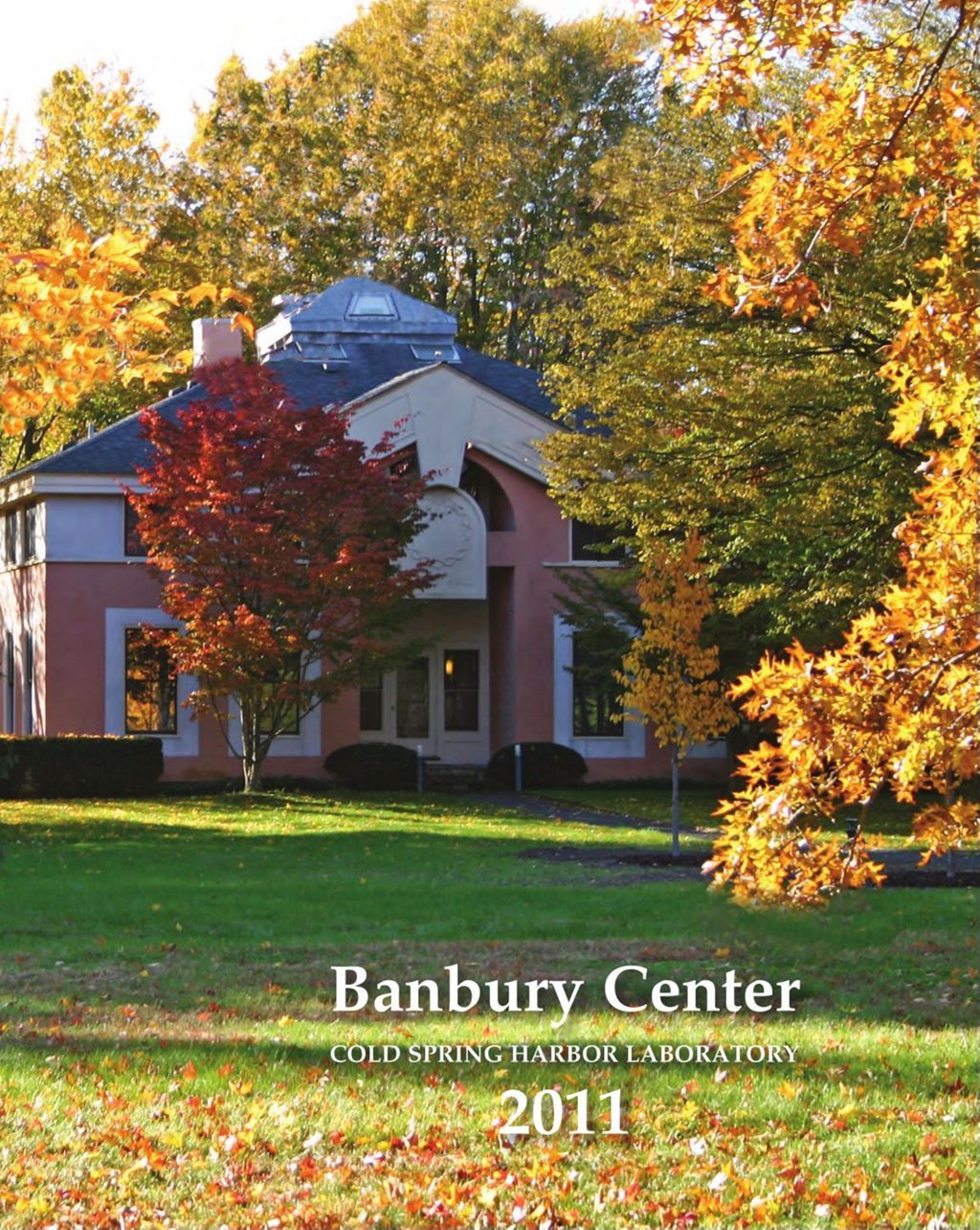 Miniature of Banbury_Annual_Report_2011
