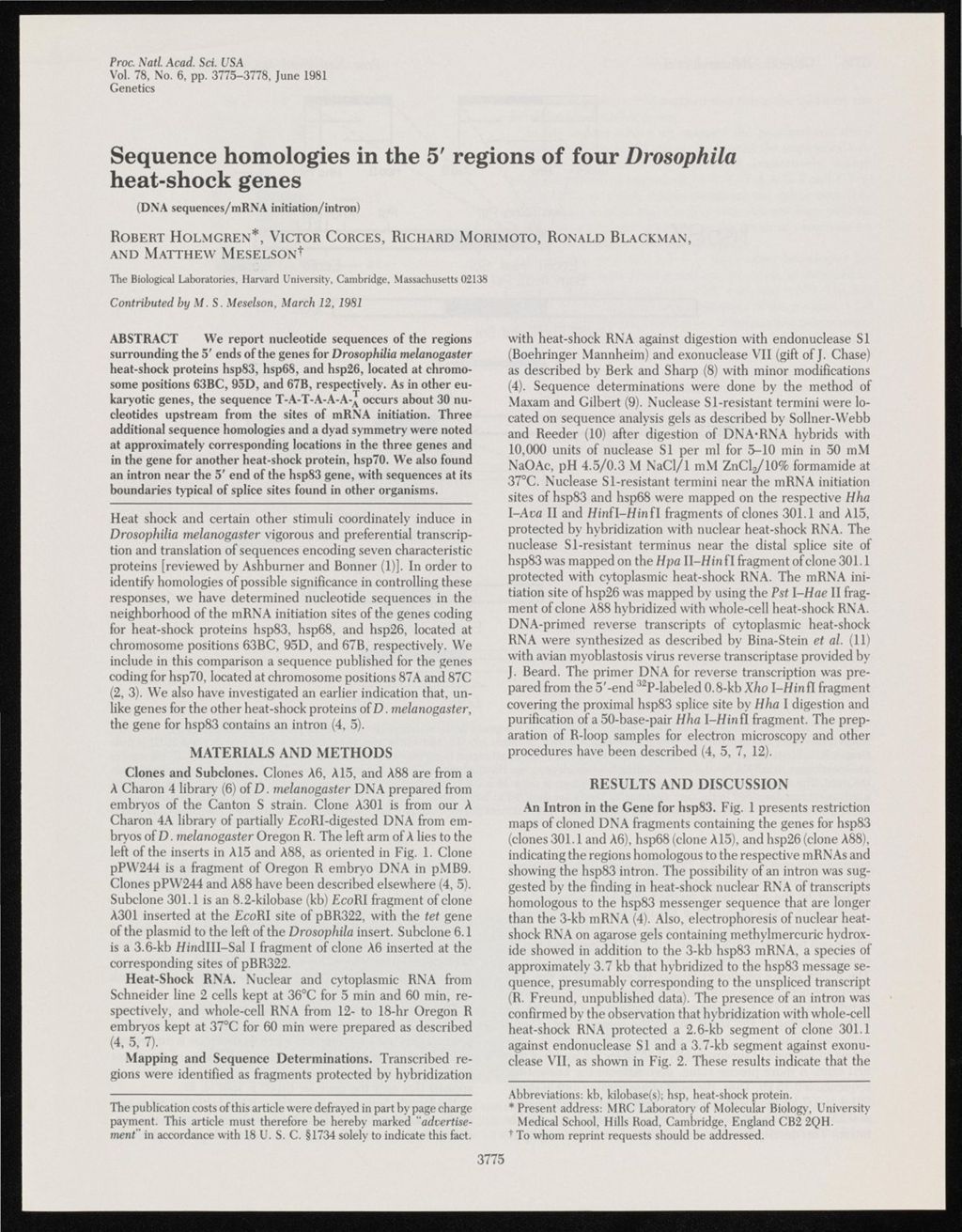 Miniature of Sequences, 1980 - 1981