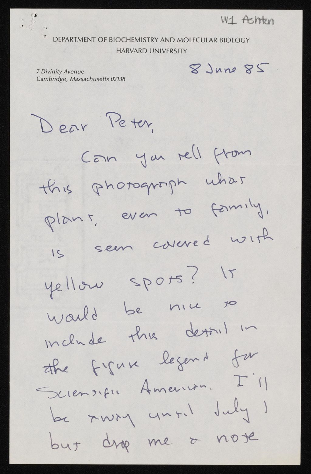 Miniature of (2 of 2), 1985