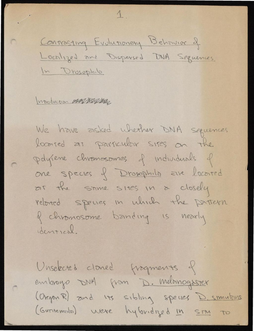 Miniature of Drosophila and Life in Israel, 1958