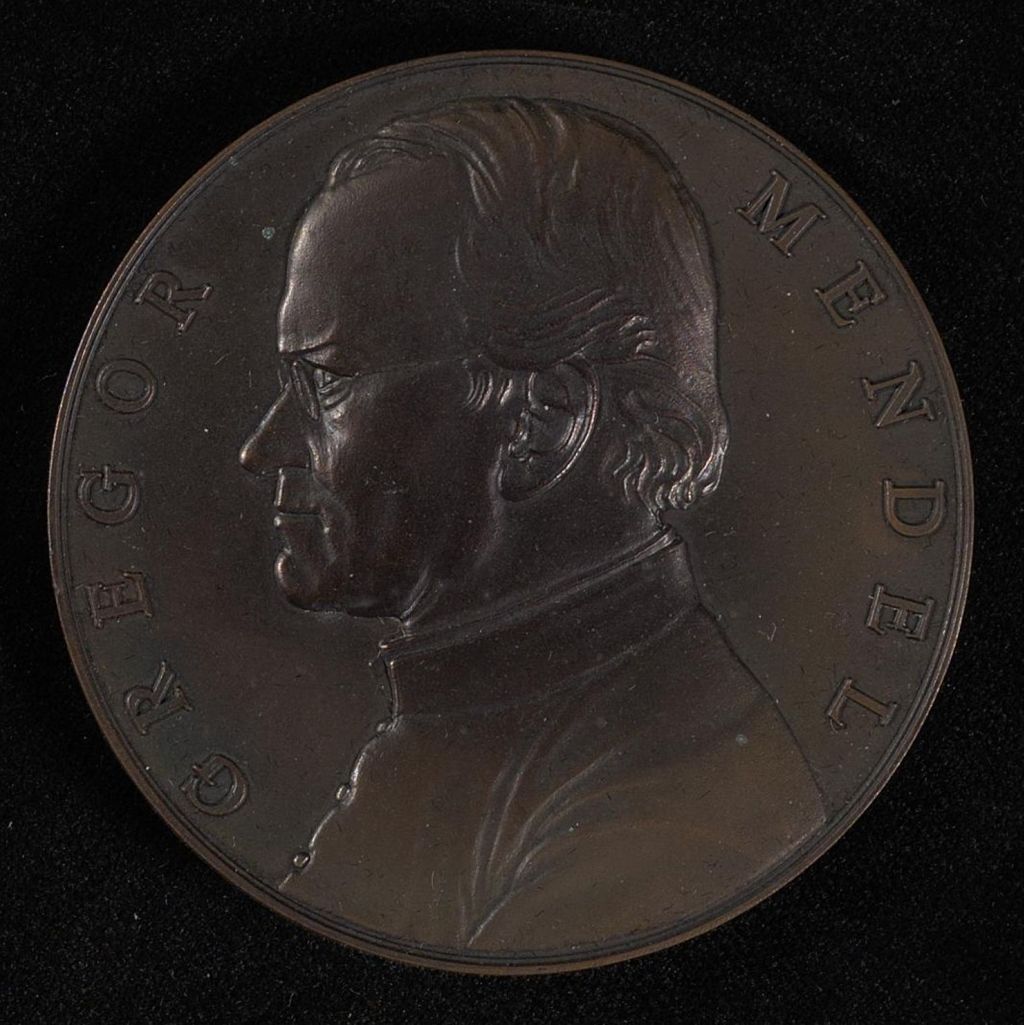 Miniature of Gregor Mendel Award, 2008